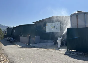 禽流感確診啟動最高防疫　盧秀燕：人車管制、蛋品全面追蹤下架