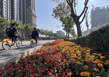 台中迎新花景　道路、公園同步變身