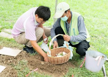 當人生謝幕成為永續起點　台中十年環保葬減碳逾33座大安森林公園