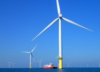 離岸風場成海洋綠洲　海大研究證實臺灣風機魚礁具備生態保育效益