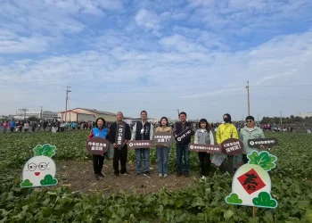 梧棲「57蘿蔔日」熱鬧登場　農趣拔蘿蔔迎新年、體驗在地農業文化