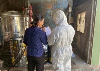 中市多管齊下廚餘去化奏效　日均廚餘量降至76公噸、減幅逾7成