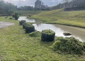 防洪升級　北市大溝溪生態治水園區完成清疏
