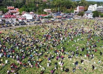 芬園農食典登場　拔蘿蔔體驗超吸睛