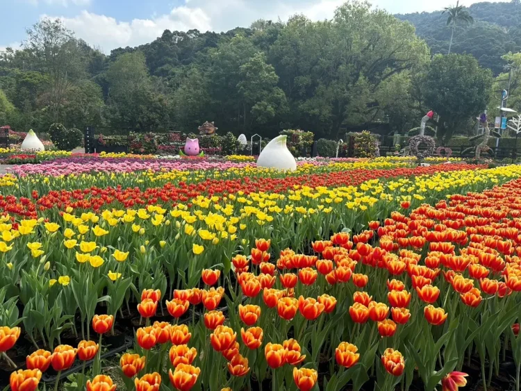 璀璨燈藝點亮台北夜色　2026台北燈節跨西門、圓山登場