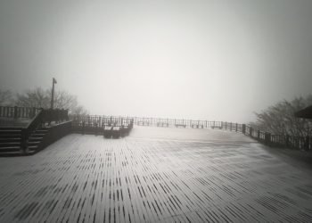 銀白世界再現　太平山霧淞盛開、地面結霜上千遊客嗨翻