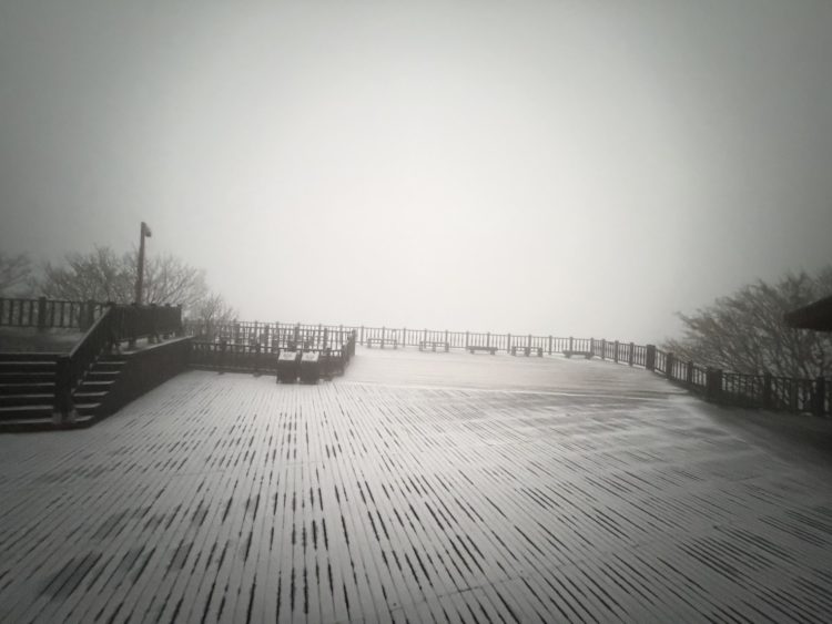 銀白世界再現　太平山霧淞盛開、地面結霜上千遊客嗨翻