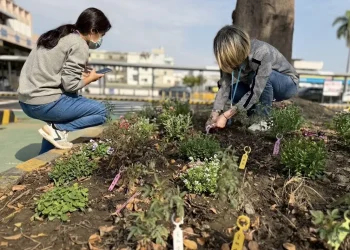 推動綠色永續　高雄區監理所汽燃費約扣快閃活動提前達標