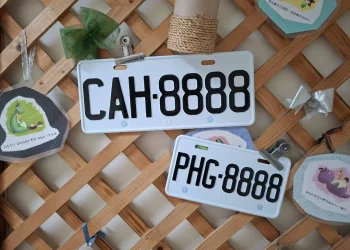 高雄區監理所標售汽車及機車新式號牌　起標價2,000元起開標