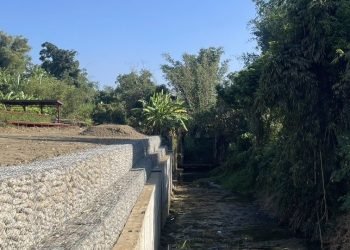 強化防洪兼顧生態 嘉市北排水圳頭里段護岸改善工程順利完工