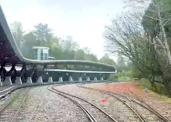 阿里山飄初雪！月光雲海映雪景　奇幻夜色吸睛