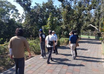 丹娜絲颱風重創嘉義市　市府全力復原並向中央爭取補助