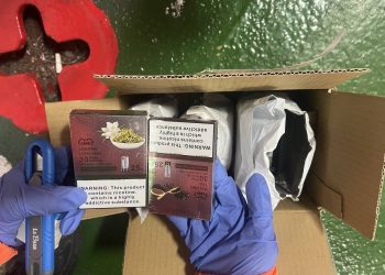 汪汪隊立大功　海巡偵搜犬「Huston」嗅出郵包電子煙彈