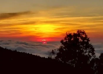 海拔2274米的療癒假期　在阿里山賓館獨享日出雲海與原始森林