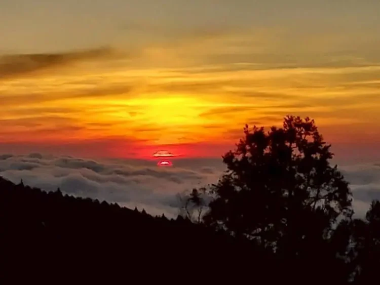 海拔2274米的療癒假期　在阿里山賓館獨享日出雲海與原始森林
