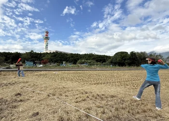 台北五分港溪畔的洲美農地　享受自然奔跑快樂的棒球遊戲