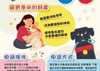臺北擴大寵物友善政策　絕育與保險補助同步加碼