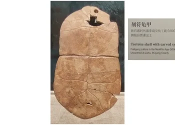 文字會變，文化不變；每一個時代文字的形體變化/《國學專欄》岸先生說文字（八）