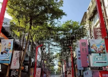 新年走春好去處　西門町徒步區林蔭添年味