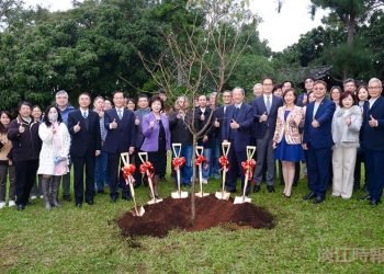 陳洋淵捐贈140棵富士櫻　期淡江校花綻風華