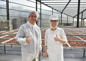 勞動部推「職務再設計」助失業勞工重返職場　每年最高補助10萬元