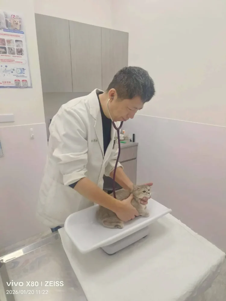 115年春節不打烊寵物服務5,666隻、急難救援94件　守護毛孩健康過好年！