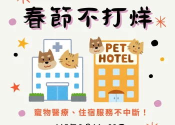 春節毛孩照護不打烊！台中市整合寵物醫療與照顧資源　陪伴飼主安心過好年