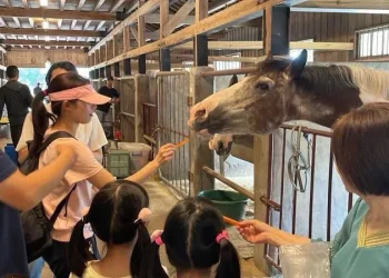 馬年走春　逛后里馬場賞櫻花、騎鐵馬迎新年