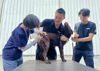 春節期間防疫不停歇!中市動保處籲畜禽業者持續落實防疫措施 平安過好年