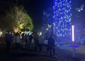 2026中台灣燈會農業局「動物夢世界」主題活動日開跑 名額有限快來報名!