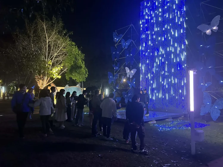 2026中台灣燈會農業局「動物夢世界」主題活動日開跑 名額有限快來報名！