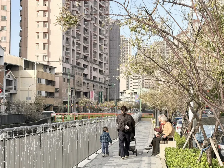 梅川沿岸梅花盛開! 中市推動人本改善 串聯市區賞花更安全舒適