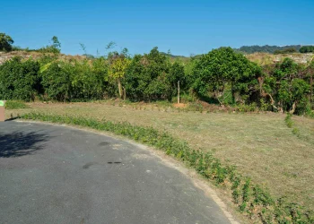 台中再添樹葬新據點　潭子生命紀念館樹葬區啟用 民政局長：提供多元永續殯葬選擇