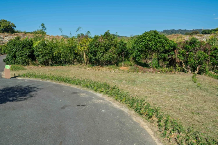 台中再添樹葬新據點　潭子生命紀念館樹葬區啟用 民政局長：提供多元永續殯葬選擇