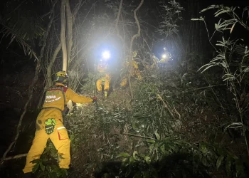 夜幕山林驚魂　基隆消防兩小時成功救回迷途7旬婦