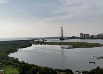 響應世界濕地日　走訪挖子尾自然保留區　觀察濕地秘境的冬季脈動