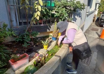 南市確診第一例登革熱境外移入病例，黃偉哲提醒有症狀請立即就醫