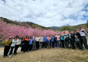 雲林官學醫院檢調平台會議聚焦SDGs目標　打造安全、健康、永續宜居城市