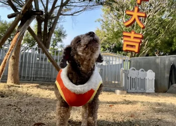 E59C92E58D80E5B7B2E6BA96E58299E7BD90E7BD90E58AA0E88F9C E8AE93E5B08FE58B95E789A9E58091E59083E9A3BDE5969DE8B6B3 abCmVn