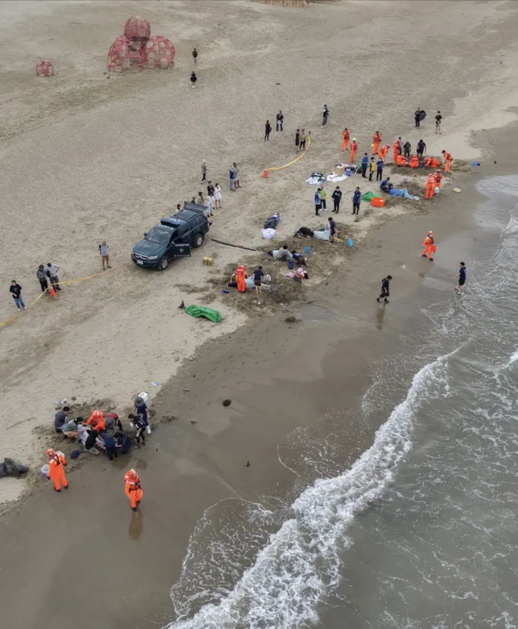 小虎鯨回家了！屏東擱淺救援成功 MARN團隊助其重返大海