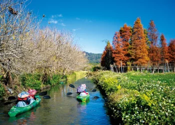 迎接春節連續假期　日月潭風景區加強交通疏運與旅遊服務
