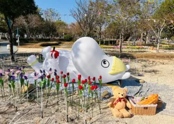 中台灣燈會見證社會高水準!姆明女友的熊馬吉還在原地 市府大讚民眾「最萌守望者」