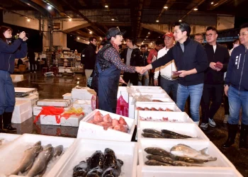 透早走訪果菜魚類批發市場拜早年　蔣萬安：民生物資供應無虞　請市民安心採買