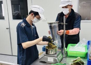 嘉義就業中心助攻 身障青年穩定就業三年轉任品管