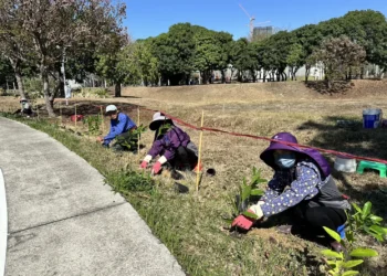 中央公園啟動原生植物培育行動！　建設局攜手科博館打造都市原生種苗庫