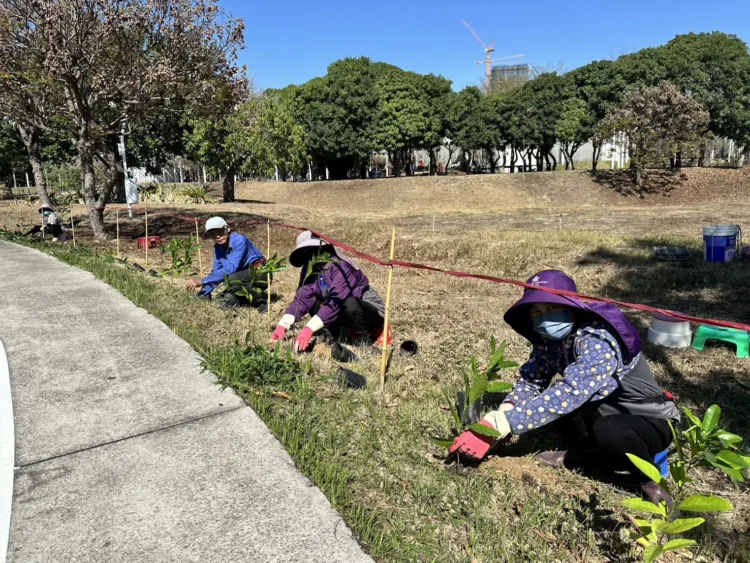 中央公園啟動原生植物培育行動！　建設局攜手科博館打造都市原生種苗庫