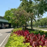 公私協力打造城市綠廊！　中市府媒合8企業投入逾3億元參與城市綠化建設