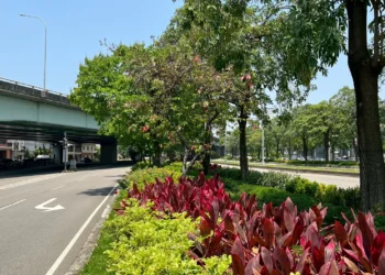 公私協力打造城市綠廊！　中市府媒合8企業投入逾3億元參與城市綠化建設