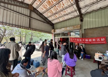 公私協力守護毛孩健康　　台中市115年偏區犬貓3合1首場活動梧棲登場