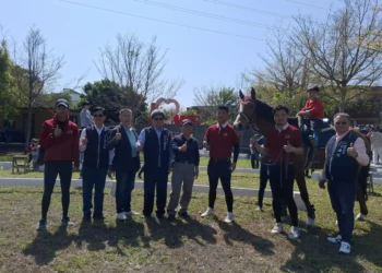 「神馬到來．Horse農來！」熱鬧登場　神岡文化季邀親子體驗食農教育
